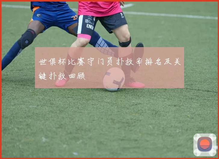 世俱杯比赛守门员扑救率排名及关键扑救回顾