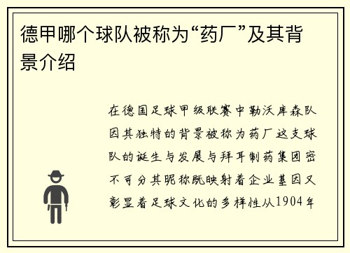 德甲哪个球队被称为“药厂”及其背景介绍